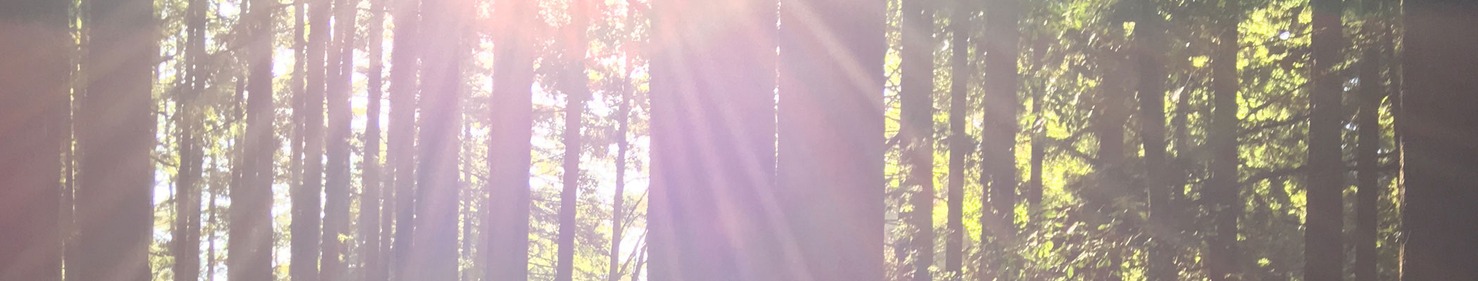 Sobriety Works Banner